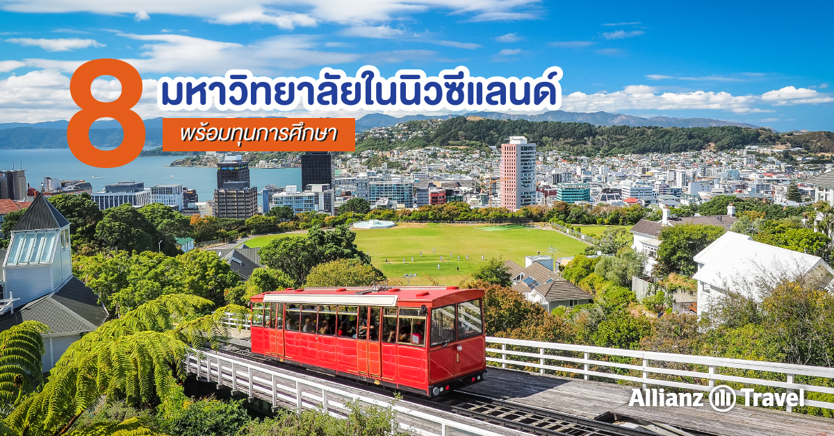 ๊Universities in New Zealand with Scholarship