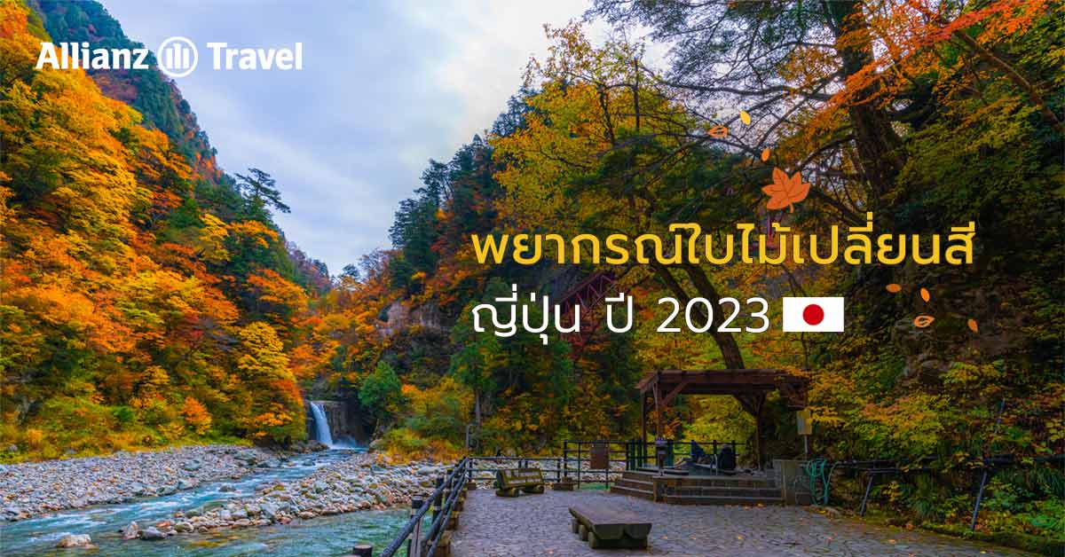 พยากรณ์ ช่วงเวลา ใบไม้เปลี่ยนสีญี่ปุ่น 2023
