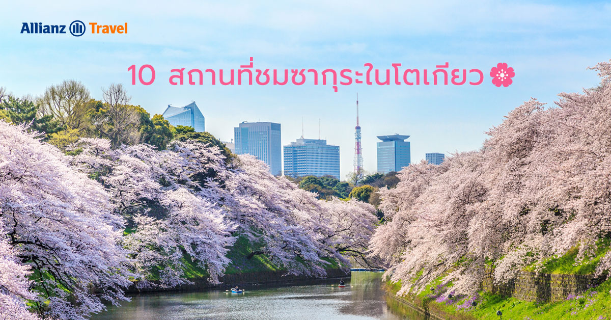 10 จุดชมซากุระในโตเกียว