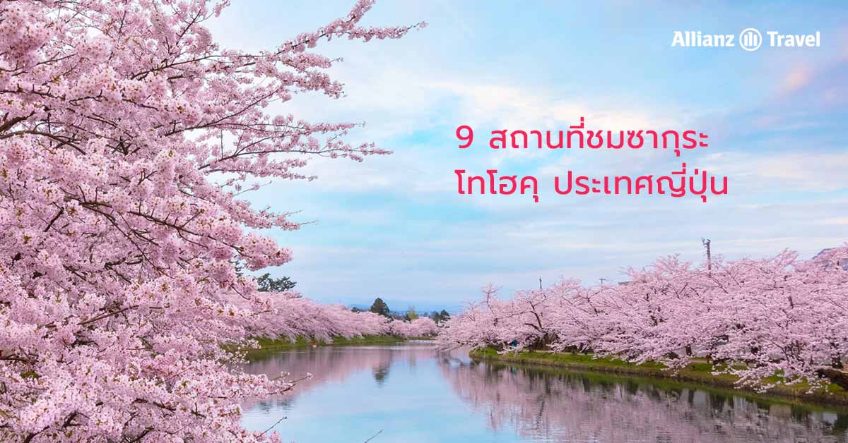 9 สถานที่ ชมซากุระ ในโทโฮคุ ประเทศญี่ปุ่น