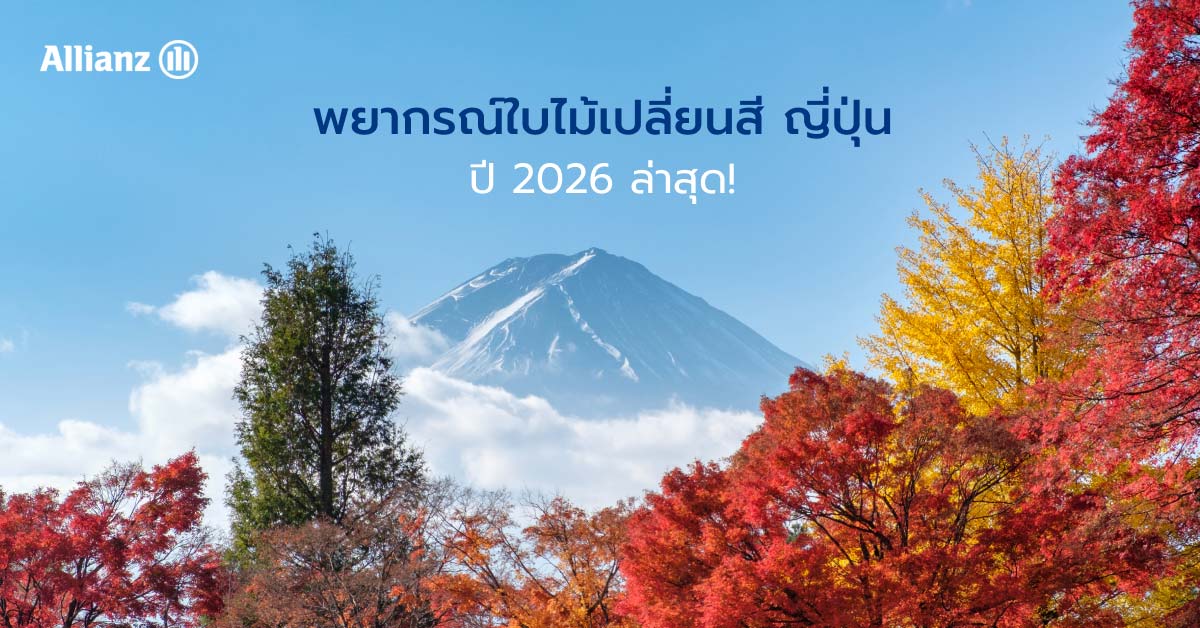 พยากรณ์ใบไม้เปลี่ยนสี ญี่ปุ่น 2026 - Autumn Foliage Forecast in Japan 2026